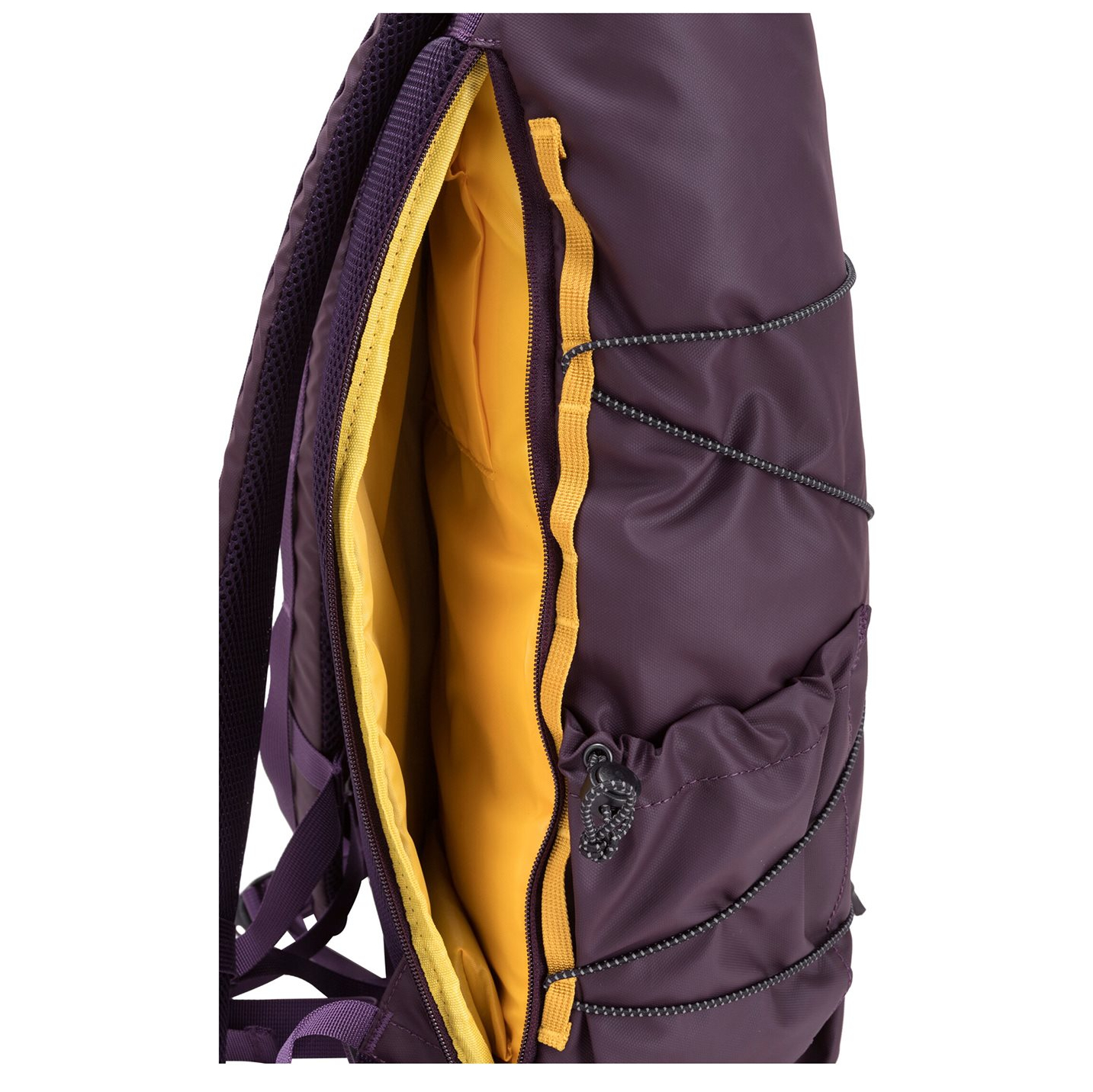 34001purple_12