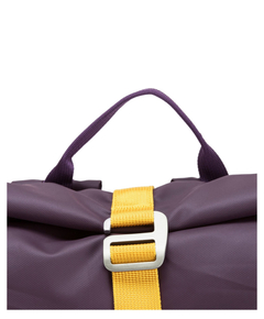 34001purple_13