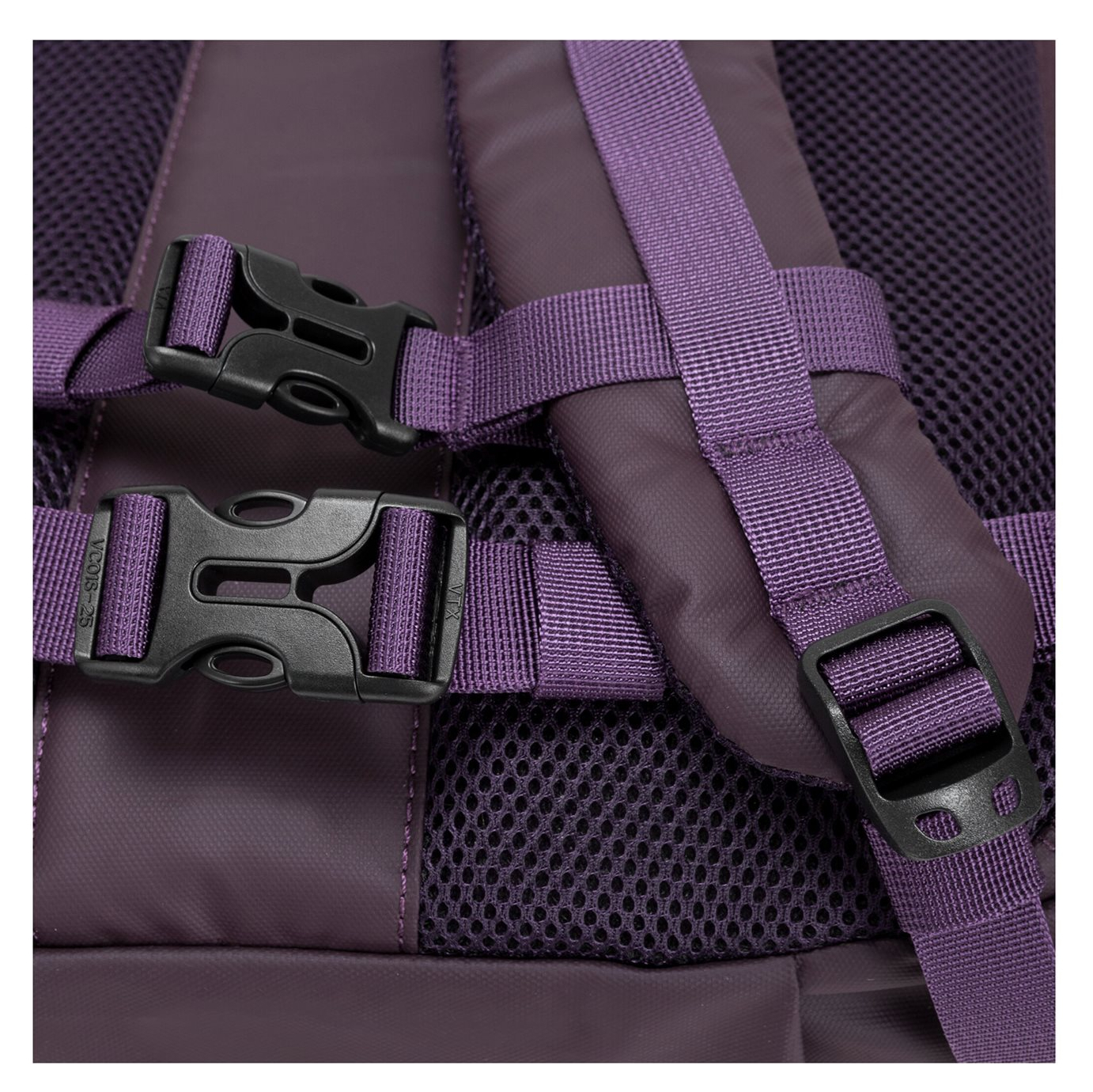 34001purple_14