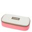 Dakine School Case XL salmon bay