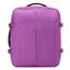 Roncato Ironik 2.0 Travel Backpack orchid