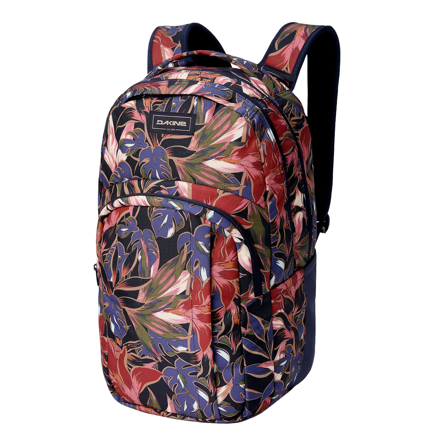 10004336darkstargazer_1