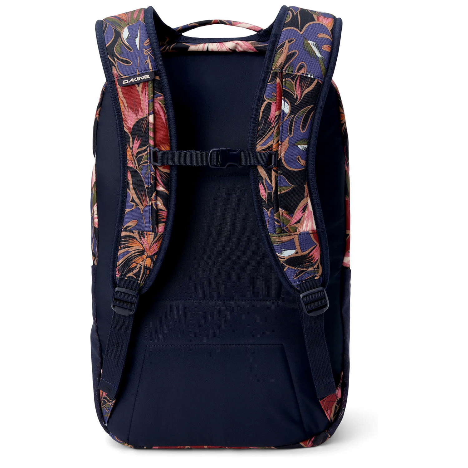 10004336darkstargazer_2