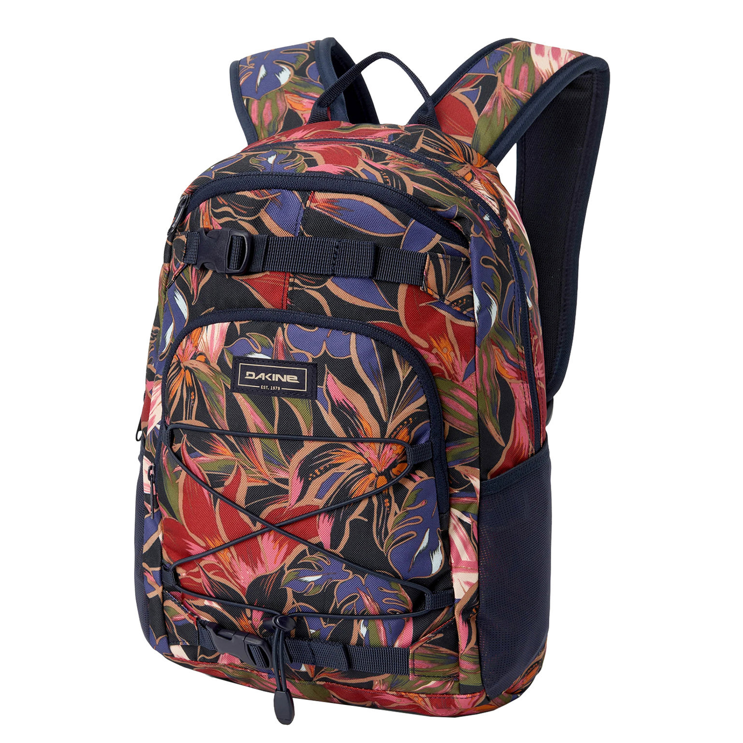 10004346darkstargazer_1