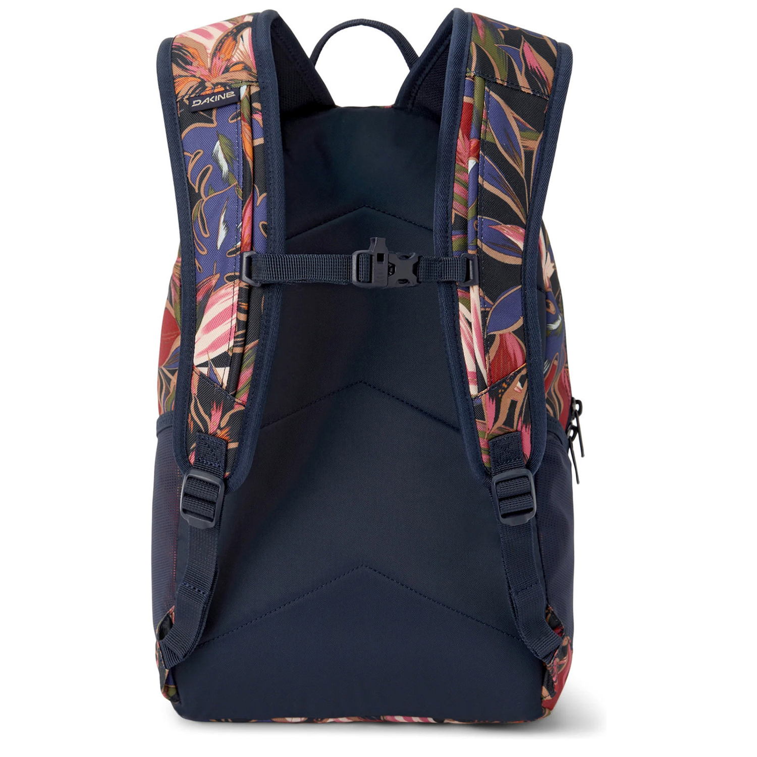 10004346darkstargazer_2