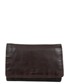 cl-15572-brown_1