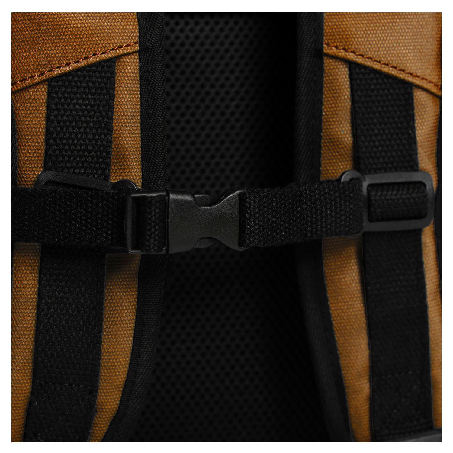 dr25-1611-19_6