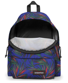 ek0006208v31_5