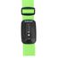 Decent Luggagestrap TSA-Lock green