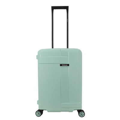 Decent Transit 2.0 Cabin Spinner mint