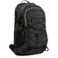 Daniel Ray Chicago Hiking Backpack grey