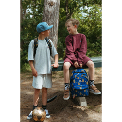 ll2011-01_8