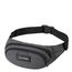 Dakine Hip Pack carbon