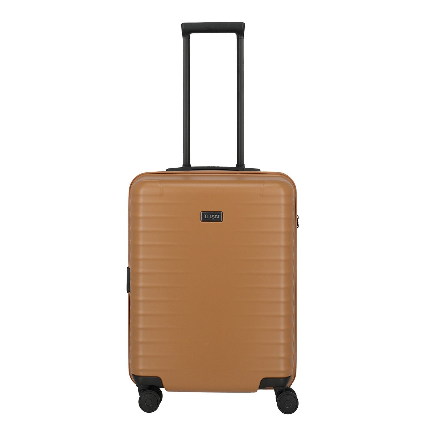 Titan Spinners bruin