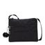 Kipling Alvar signature emb