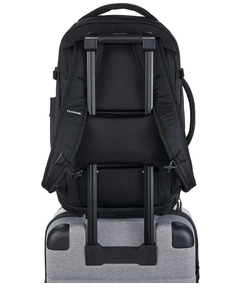 10004367mulledbasil_10