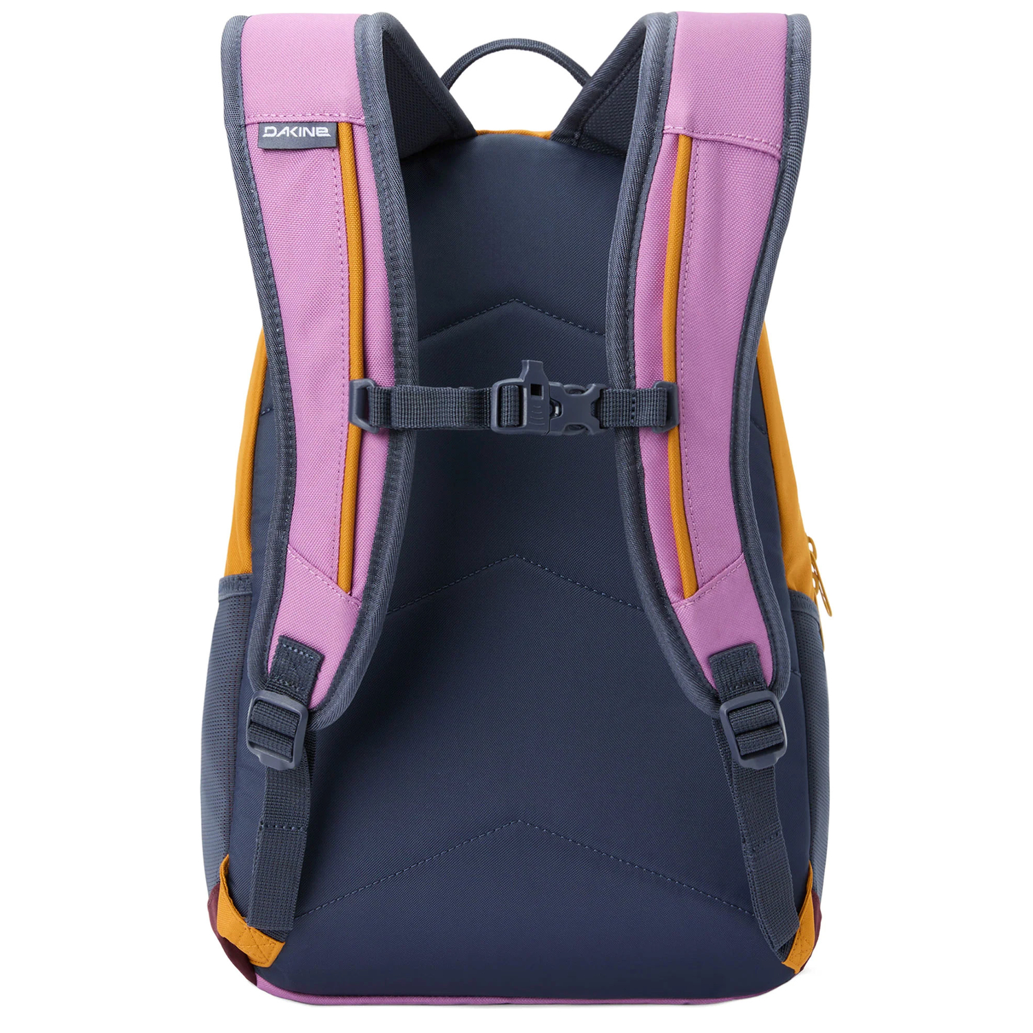 10004346harvestplum_2