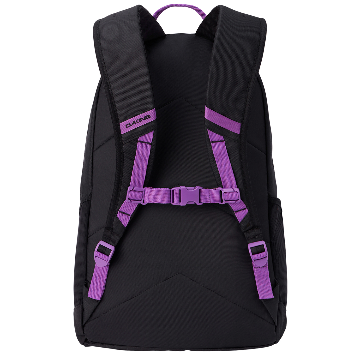 10004717purplerein_2