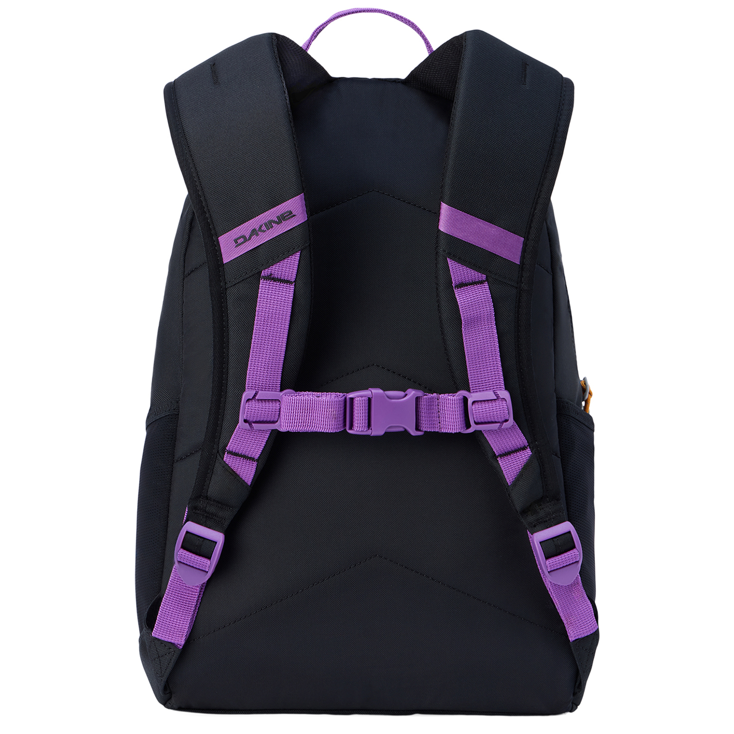 10004716purplerein_2